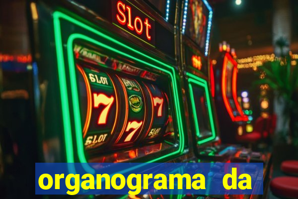 organograma da cacau show